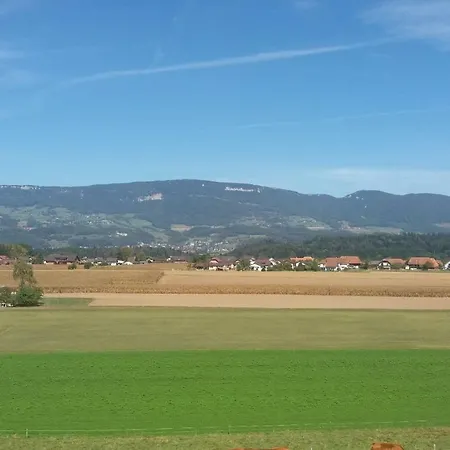 Piuma