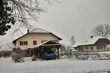 Piuma Wangen an der Aare